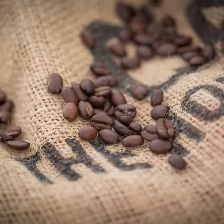 Lejlighed Oa - 50m Od Rynku - Old Market Square Wrocław