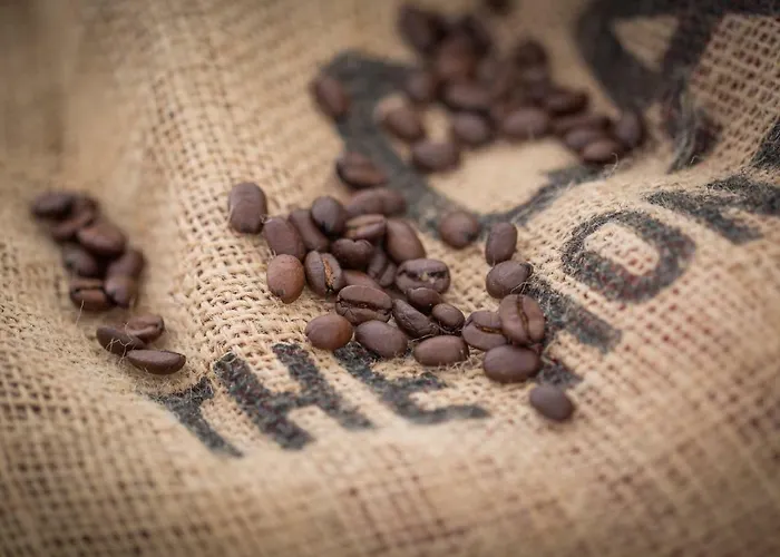 Apartment Oa - 50m Od Rynku - Old Market Square Wroclaw